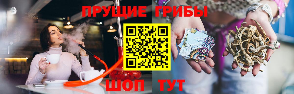 Псилоцибиновые грибы GOLDEN TEACHER Славянск-на-Кубани